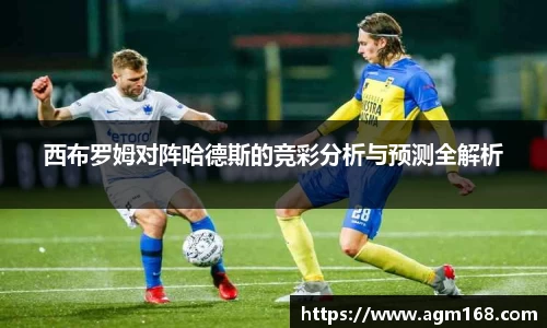 多宝电竞体育官方网站